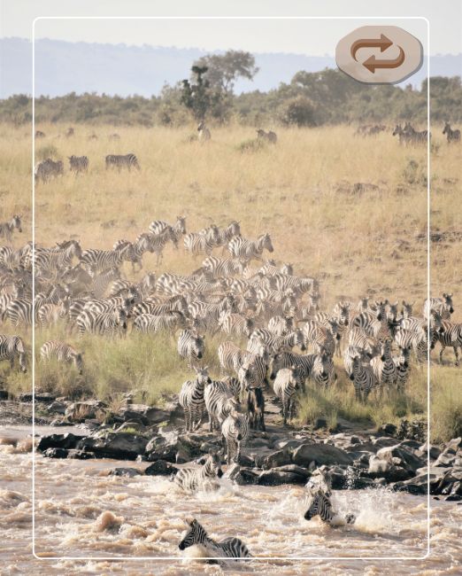 Botswana — Okavango Delta and Chobe National Park
