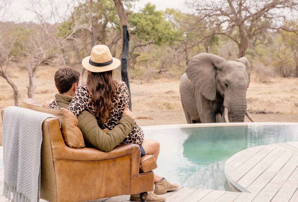 Cape Town, Greater Kruger Safari, Johannesburg