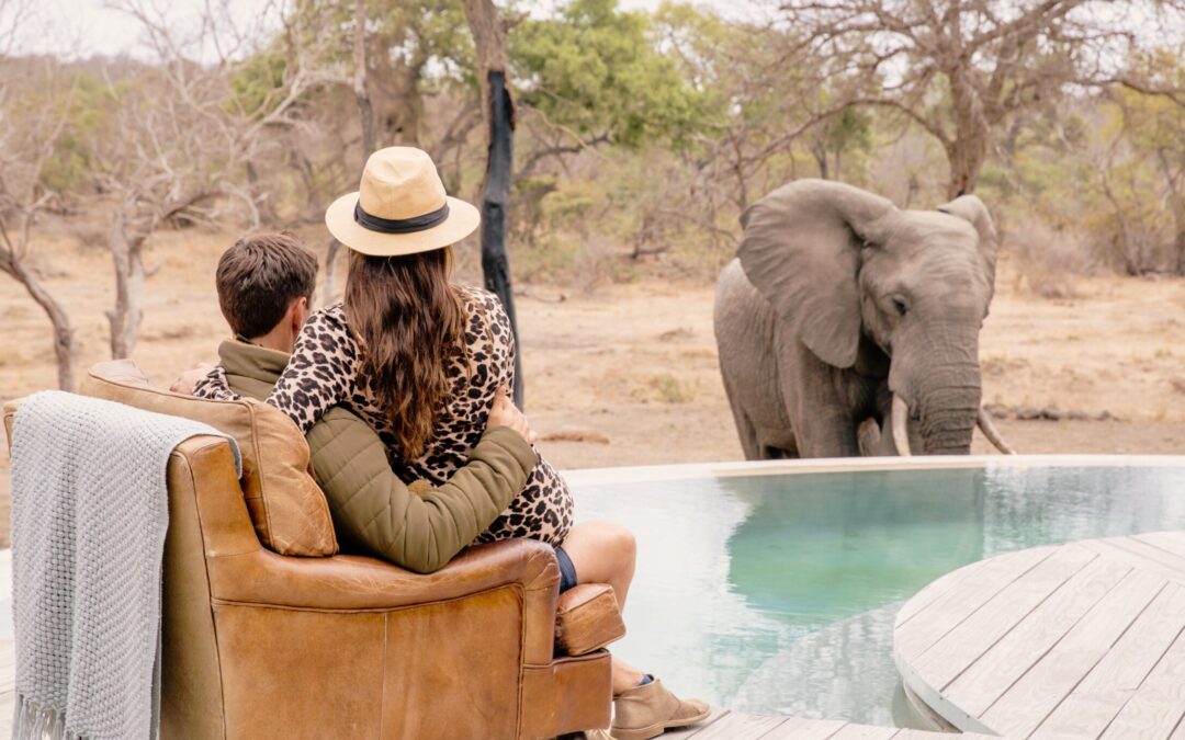 Cape Town, Greater Kruger Safari, Johannesburg